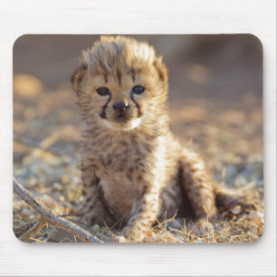 Cheetah 19 days old male cub mouse pad