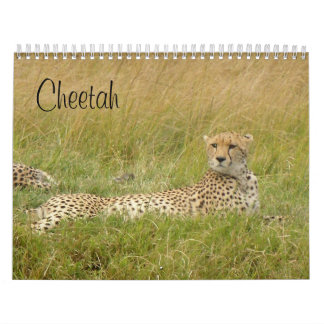 Cheetah 2008 calendar