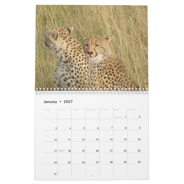 Cheetah 2008 calendar (Jan 2027)