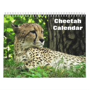 Cheetah 2025 calendar