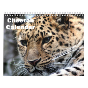 Cheetah 2025 calendar