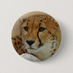Cheetah 2 Inch Round Button