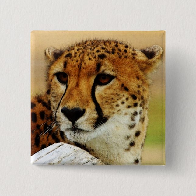 Cheetah 2 Inch Square Button (Front)