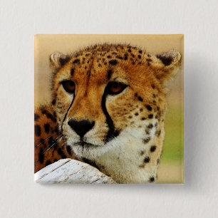 Cheetah 2 Inch Square Button