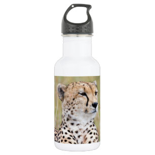 Cheetah 532 Ml Water Bottle