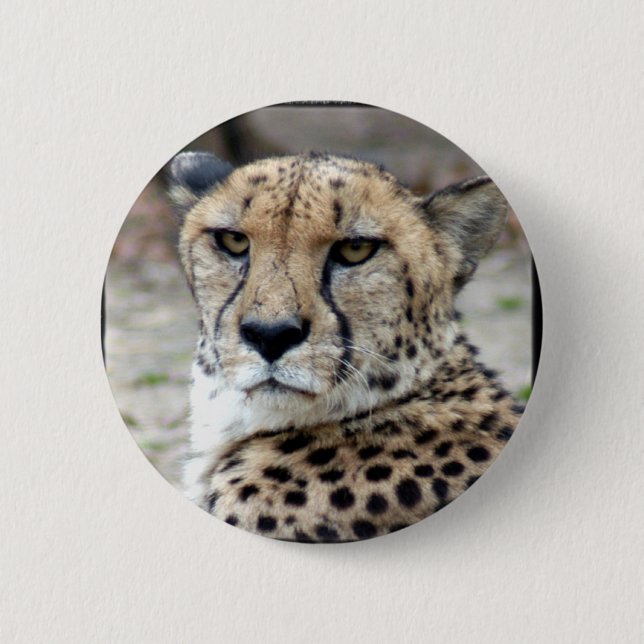 Cheetah-8934e-Bfram 2 Inch Round Button (Front)