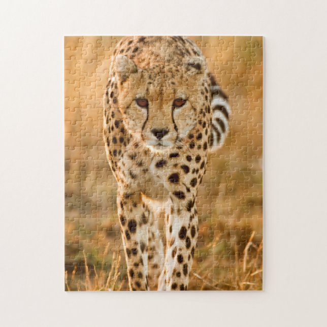 Cheetah (Acinonyx Jubatus) Portrait, Maasai Jigsaw Puzzle (Vertical)