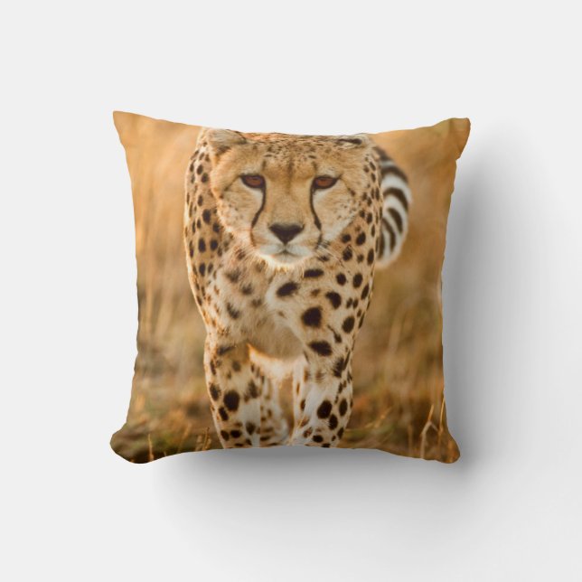 Cheetah (Acinonyx Jubatus) Portrait, Maasai Throw Pillow (Front)