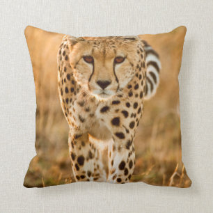 Cheetah (Acinonyx Jubatus) Portrait, Maasai Throw Pillow