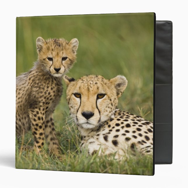 Cheetah, Acinonyx jubatus, with Cub Binder (Front/Inside)