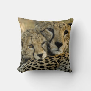 Cheetah, Acinonyx jubatus, with cub in the Masai 2 Throw Pillow