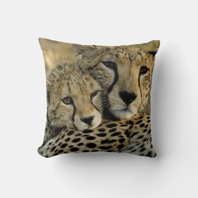 Cheetah, Acinonyx jubatus, with cub in the Masai 2 Throw Pillow (Front)