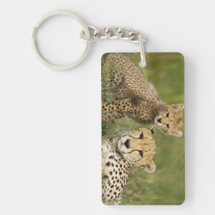 Cheetah, Acinonyx jubatus, with Cub Keychain