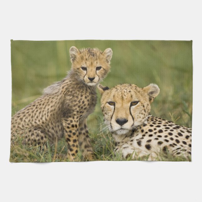 Cheetah, Acinonyx jubatus, with Cub Kitchen Towel (Horizontal)