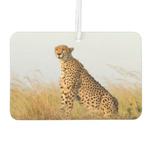 Cheetah Air Freshener