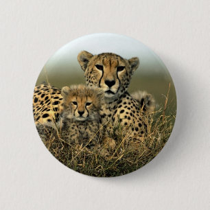 Cheetah and Cub 2 Inch Round Button