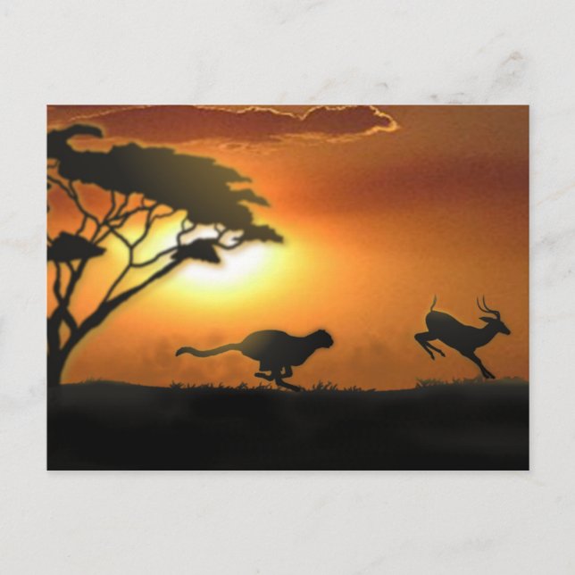 Cheetah and Gazelle post card (Front)
