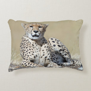 Cheetah at the Masai Mara in Kenya photo Accent Pillow
