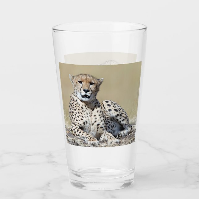 Cheetah at the Masai Mara in Kenya photo Glass (Front)