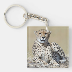 Cheetah at the Masai Mara in Kenya photo Keychain