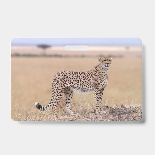 Cheetah Badge