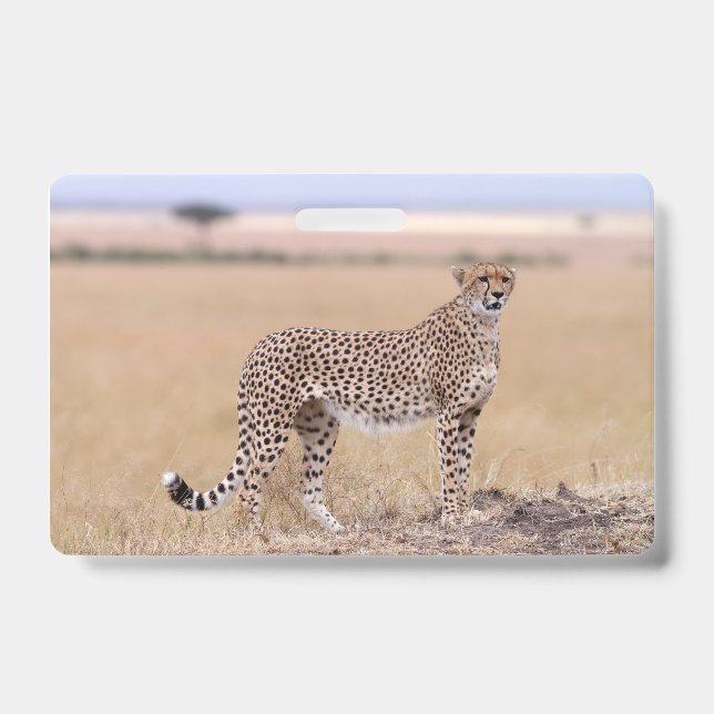 Cheetah Badge (Front)