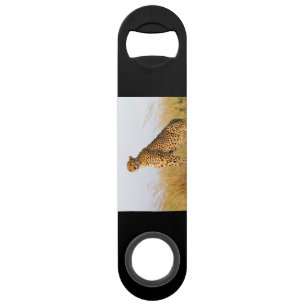 Cheetah Bar Key