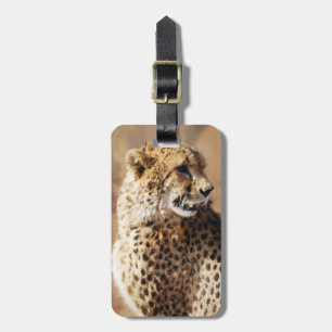 Cheetah beauty with fangs luggage tag