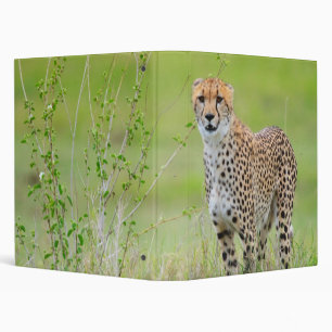 Cheetah Binder