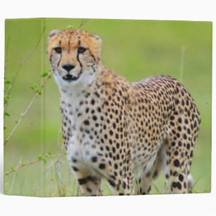 Cheetah Binder