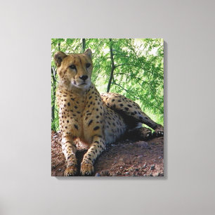 cheetah canvas print