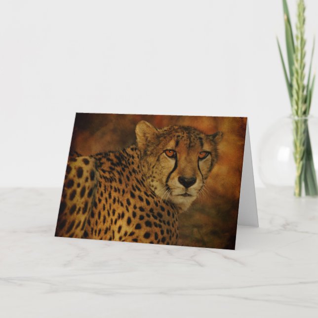 Cheetah card (Front)