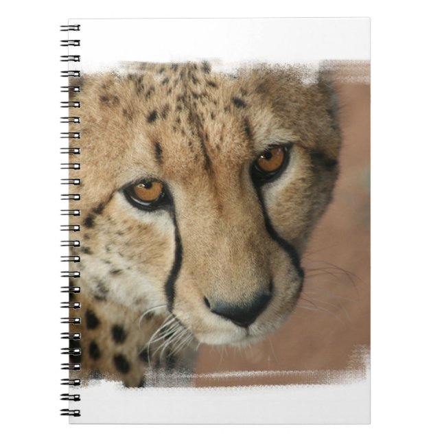 Cheetah Cat  Notebook (Front)