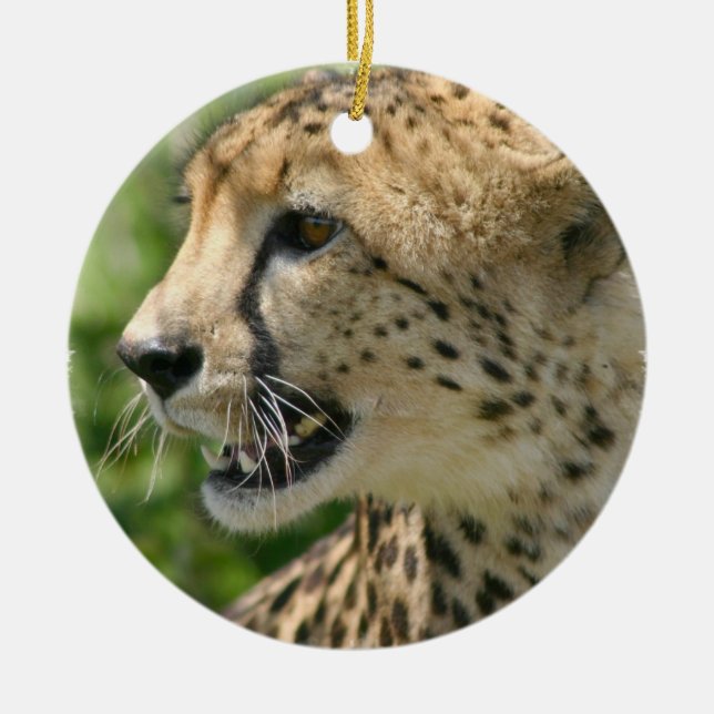 Cheetah Cat Ornament (Front)