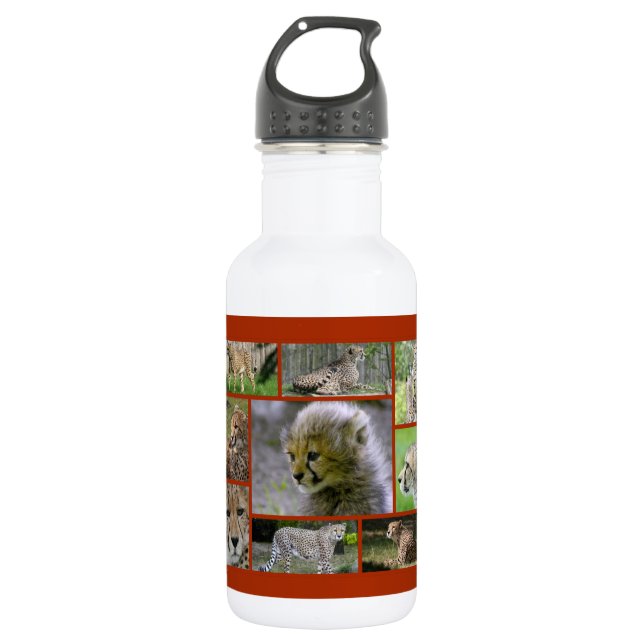 Cheetah-Collage 002 532 Ml Water Bottle (Front)