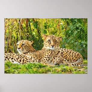 Cheetah Companions – Resting in the Wild" Poster