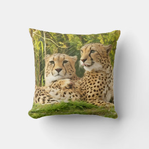 Cheetah Companions – Resting in the Wild Throw Pillow