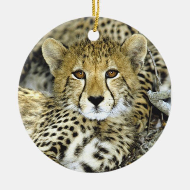 Cheetah Cub 2 Ceramic Ornament (Front)