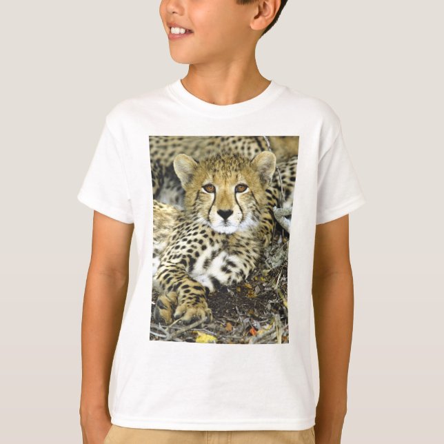 Cheetah Cub 2 T-Shirt (Front)