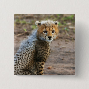 Cheetah Cub Acinonyx Jubatus) 2 Inch Square Button