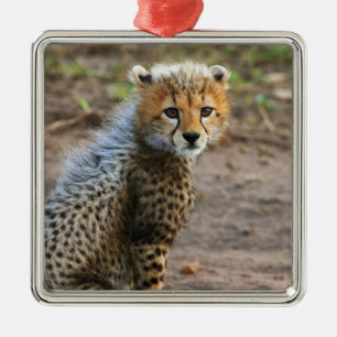 Cheetah Cub Acinonyx Jubatus) Metal Ornament