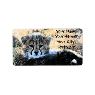 Cheetah Cub address label