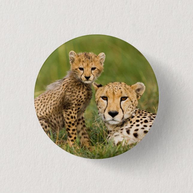 Cheetah Cub and Parent in Grass 1 Inch Round Button (Front)