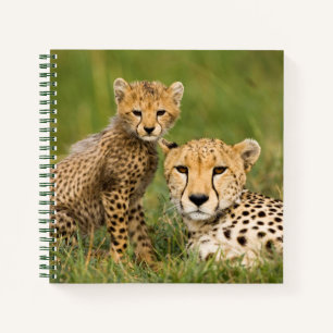 Cheetah Cub and Parent in Grass Notebook