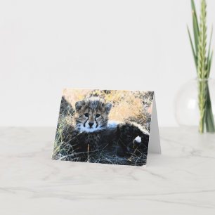 Cheetah cub customizable note card