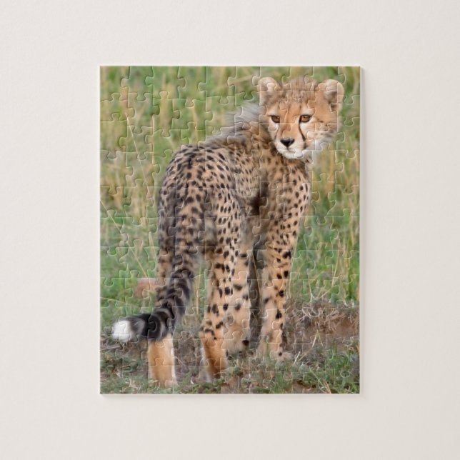 Cheetah Cub Looking Your Way. Jigsaw Puzzle (Vertical)