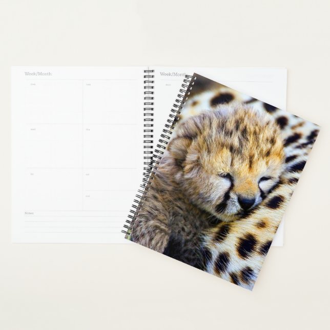 Cheetah Cub Planner (Display)