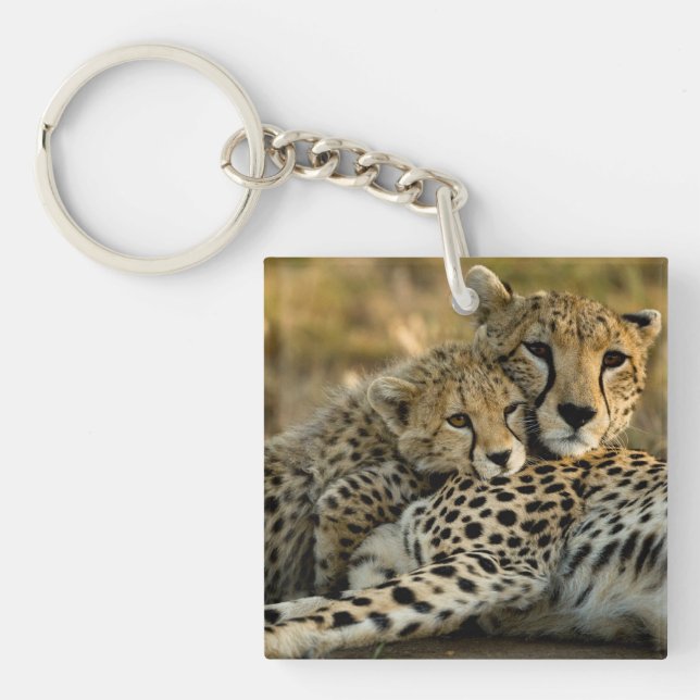 Cheetah Cub Snuggling with its Mom Keychain (Front)