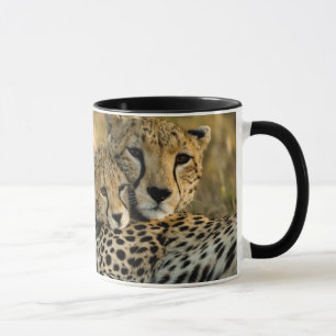 Cheetah Cub Snuggling with its Mom Mug