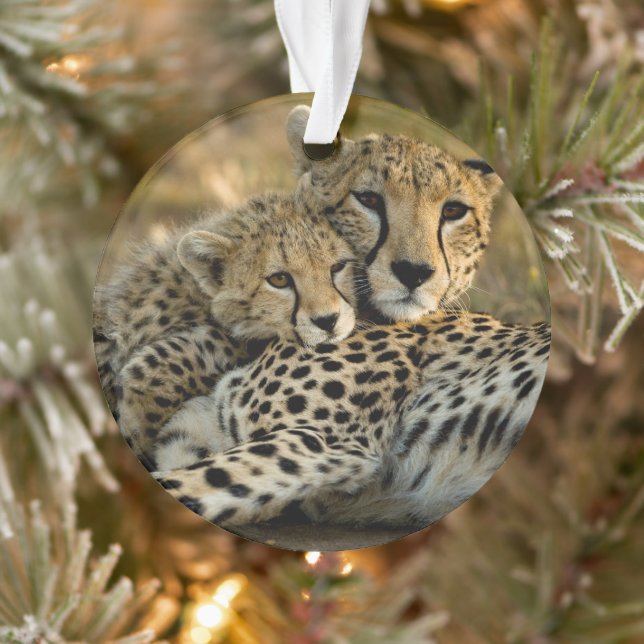 Cheetah Cub Snuggling with its Mom Ornament (Tree)